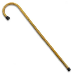 Rattan Martial Arts Cane