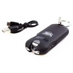 Stun Gun Keychain