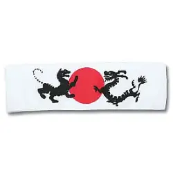Tiger and Dragon Headband