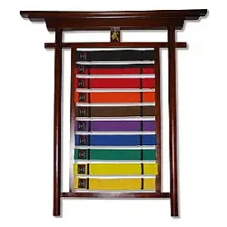 Wall Mountable Belt Display