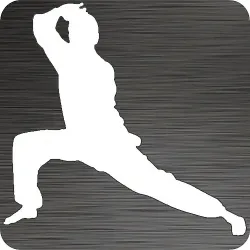 Wushu Warrior Car Decal