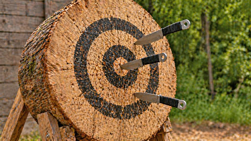 Tree stump target for throwing knives