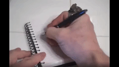 Tactical Pen Knife